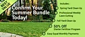 Professional Weekly Lawn Cutting 