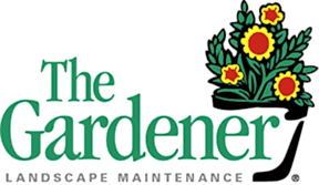 The Gardener