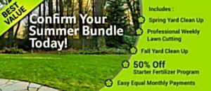 Professional Weekly Lawn Cutting 