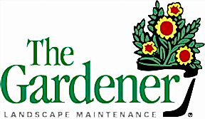 The Gardener