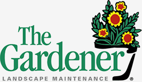 The Gardener