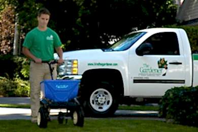 Landscaping Services