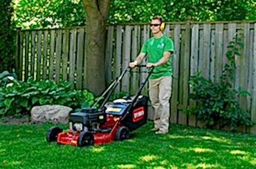 Grass Mowing and Gardening