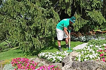 Landscape Design, Construction, and Planting