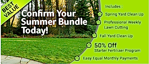 best grass cutting & lawn maintenance services Offer