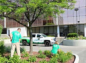 Don't-just-hire-a-lawn-mowing-company