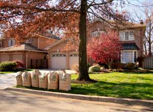 Fall-clean-up-completed