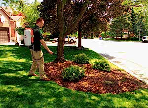 Curb-appeal-you-can-count-on
