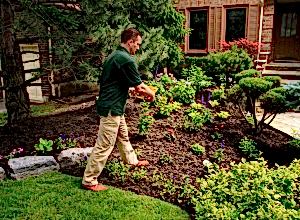 Don't-forget-to-feed-your-plants-and-shrubs