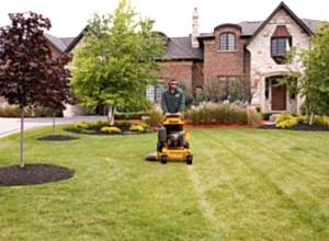 Making-properties-of-all-sizes-look-their-best
